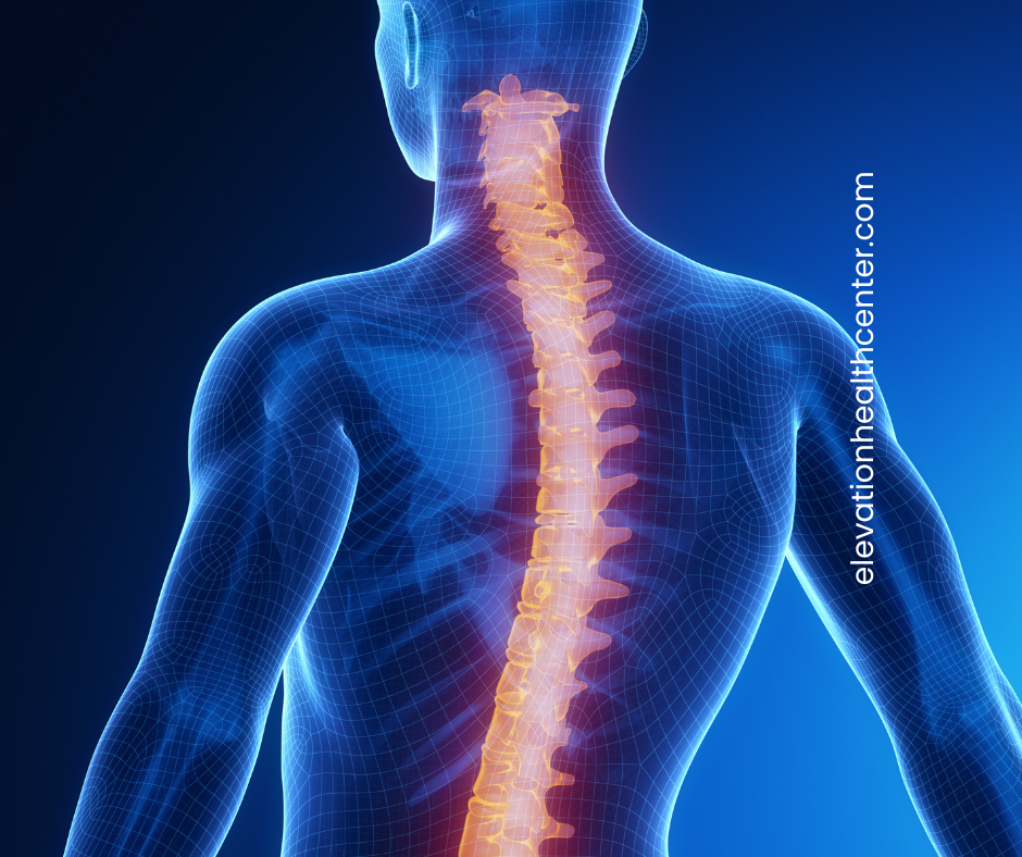 Spine: How to Know You Need a Chiropractic Adjustment