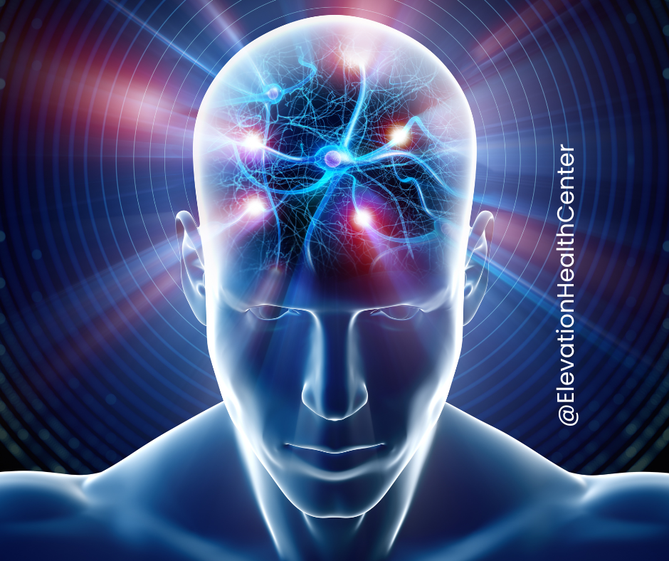 Brain showing how Microcurrent Neurofeedback Can Improve Focus