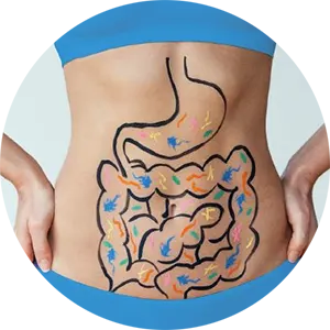 Therapeutic Gut Programs